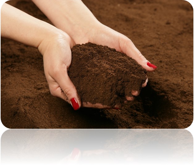 Professional Quality Soil & Planet Enhancer